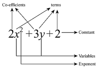 Revision Notes For Maths Chapter 2 Polynomials Class 9th Askiitians