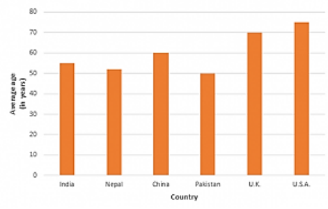 The vertical bar graph 