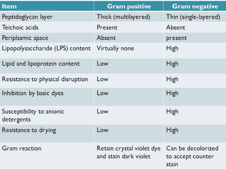 261-1107_differences.JPG