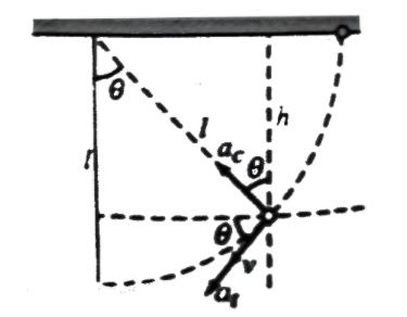 629-1776_pendu.jpg
