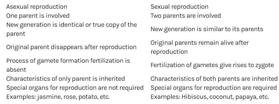 State The Main Difference Between Asexual And Sexual Reproduction Askiitians