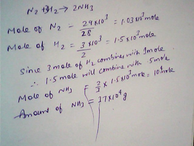 204-1497_Mon Aug 18 10-50-50.jpg