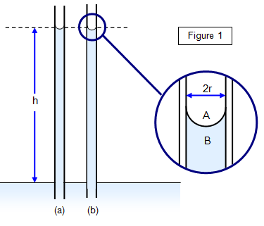 237-2021_capillary.png