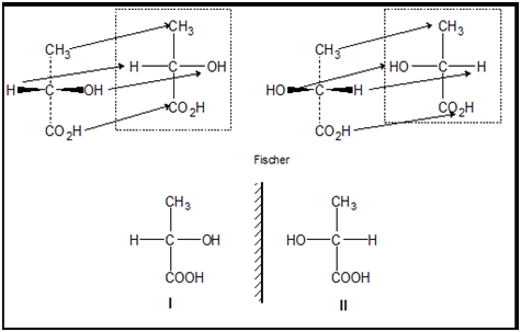 Fischer Projection