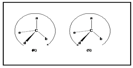 R and S System