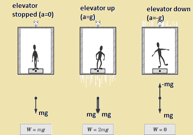 What is Motion in Physics: Laws of Motion, Types and Examples