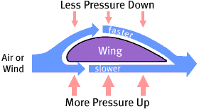 Parameters Acting Upon a Flying Plane