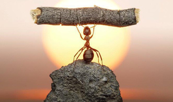 Taking Calculated Risks to Achieve the Impossible