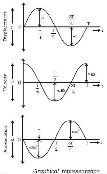 Graphical Representation of S.H.M