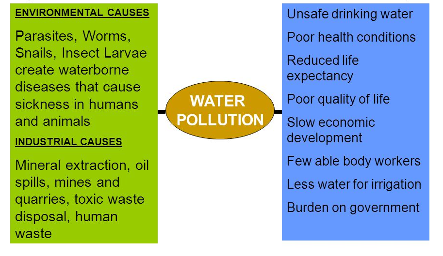 effects of thermal pollution