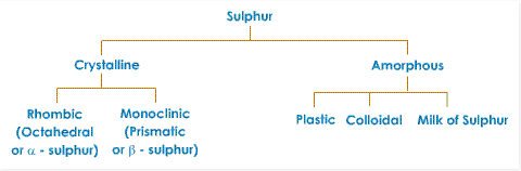  allotropic forms