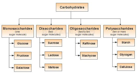 definition composition functions of JEE  for  Material askIITians  Study  Carbohydrates IIT