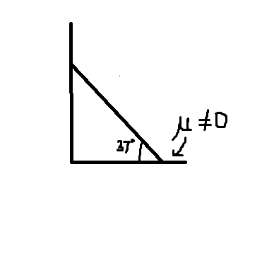 Question image for A 5m long pole of 3kg mass is placed against a sm