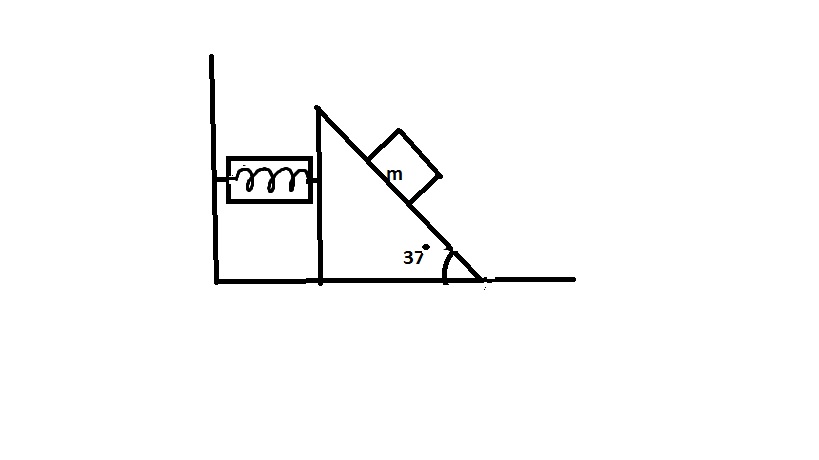 Question image for Find the reading of te spring balance as shown n