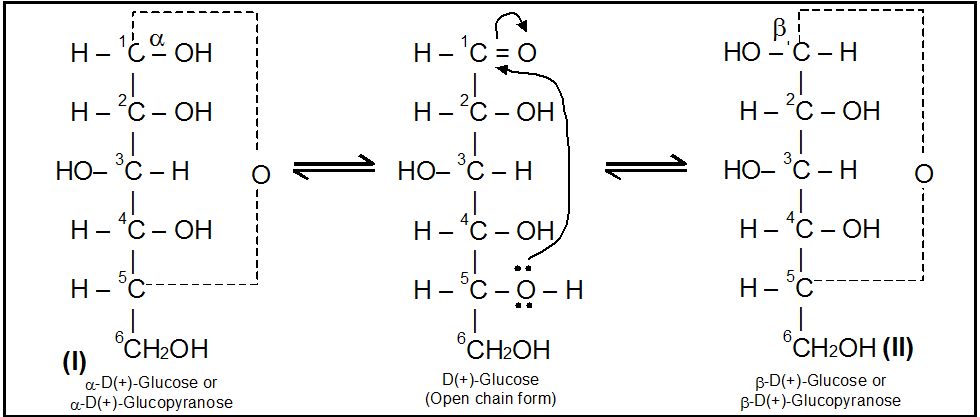 Question image for Why only the -OH group from 5th carbon(not -OH gro