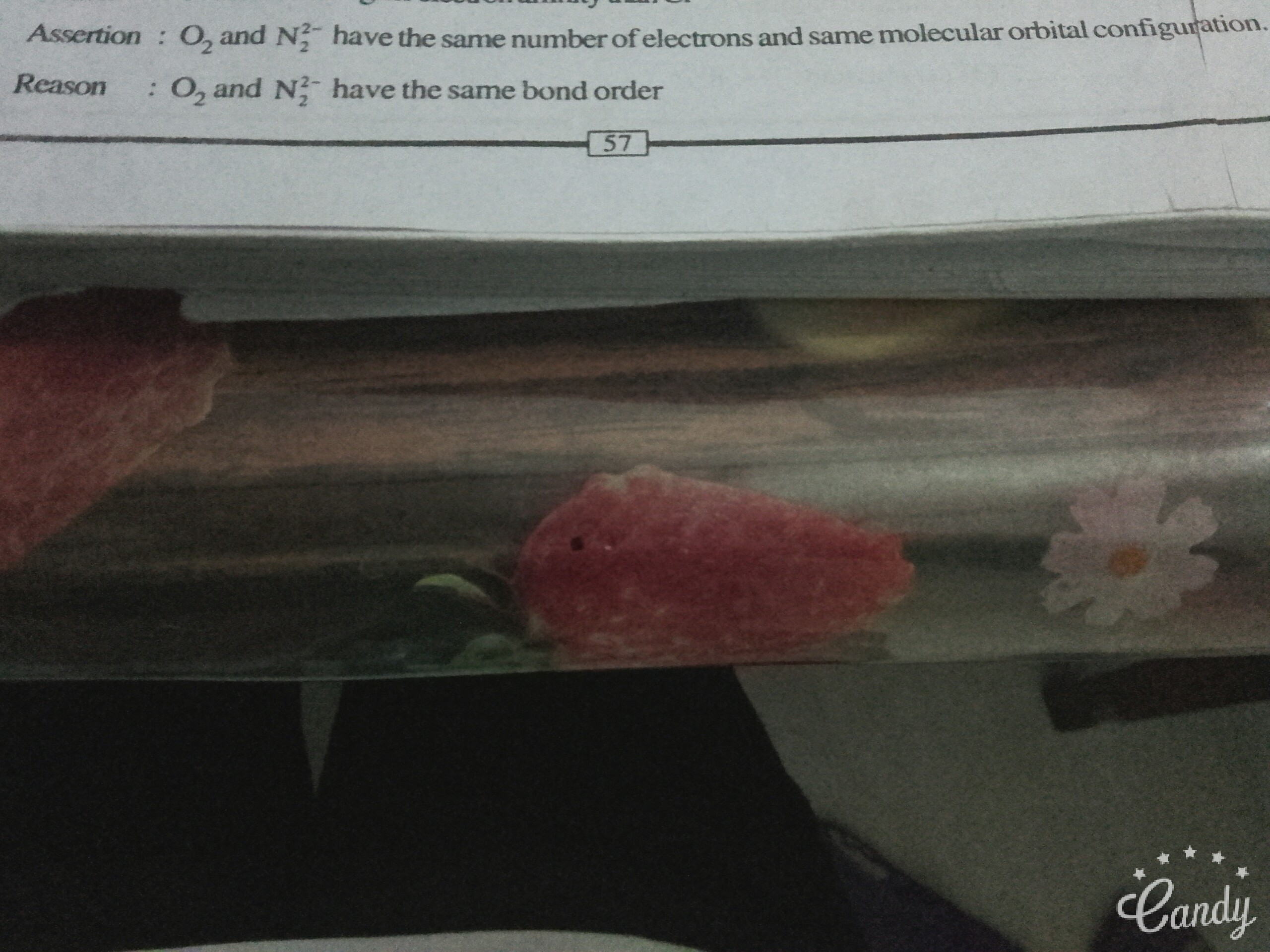 Question image for Please answer this assertion and reason question.