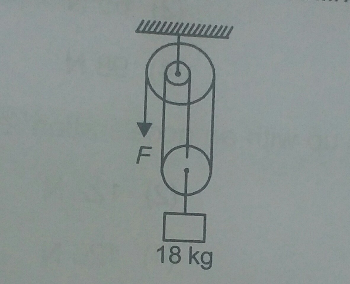 Question image for In the figure at the free end of the light string,