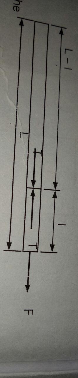 Question image for A uniform rope of length L, resting on a frictionl