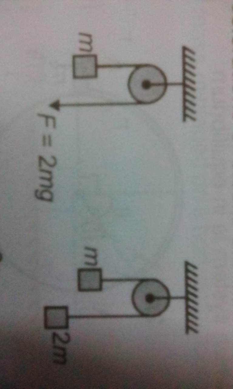 Question image for The magnitude of difference in acceleration of bl