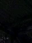 Profile image of Dj