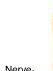 Profile image of hasim
