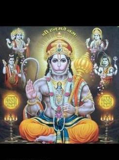 Profile image of SAMARTH RAVAL