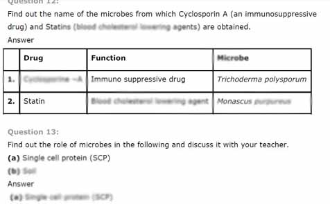 Compare And Contrast Essay Sample Paper Essay On Biology In Human Welfare Locavore Synthesis Essay also Good Thesis Statement Examples For Essays Essay On Biology In Human Welfare Essay Example Words Research Essay Papers